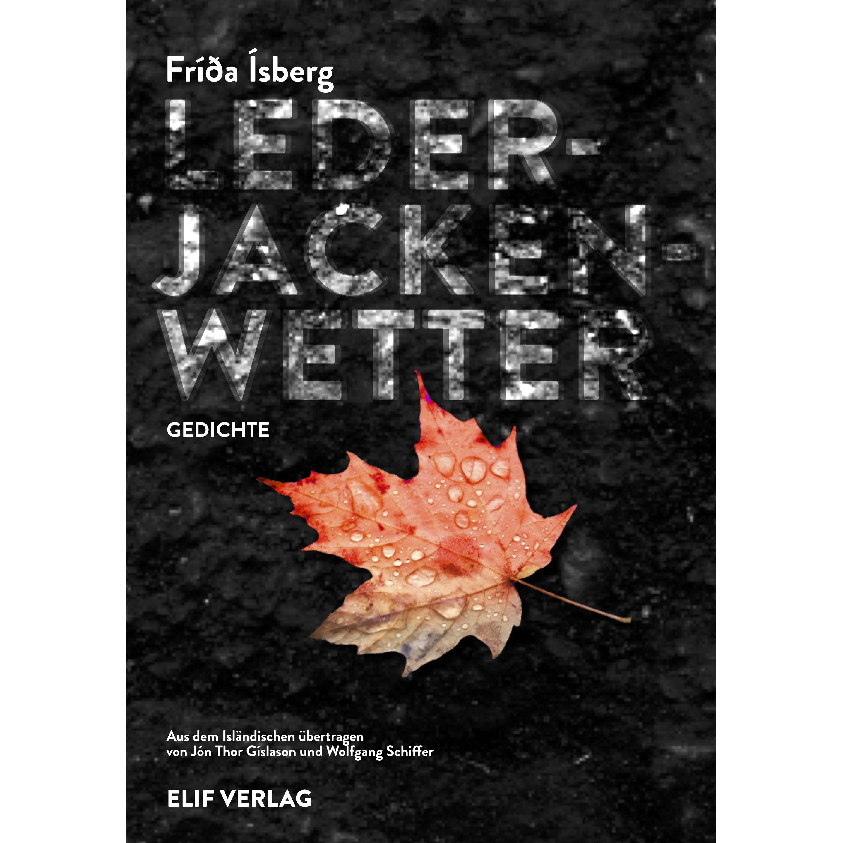 Lederjackenwetter, Belletristik von Frida Ísberg, Jon Thor Gíslason, Wolfgang Schiffer