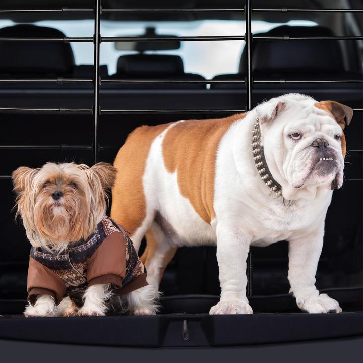 Image du produit Relaxdays Grillage pour chiens en voiture, protection (Chien, Réflecteurs, Ouverture complète)