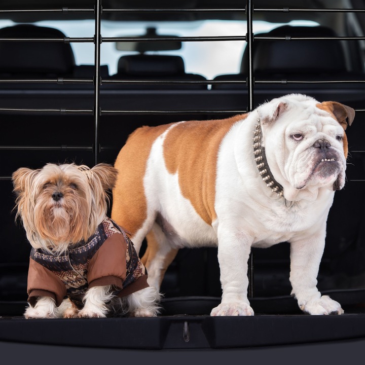 Actual product image Relaxdays Dog Guard for Cars (Dog, Reflectors, Can be opened completely)