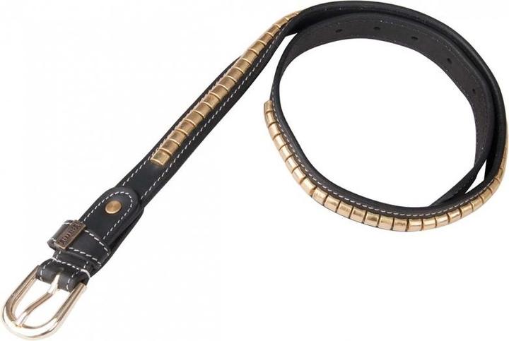 Actual product image TdeT Belt clincher (100)