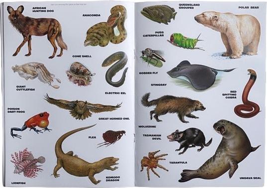 Image du produit Generic Autocollants réutilisables "Créatures mortelles" (paquet de 20)