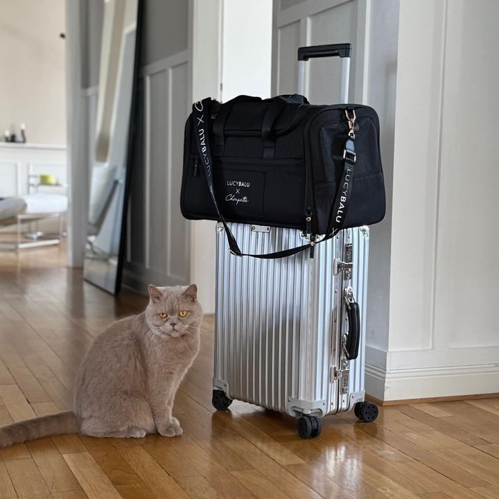Produktbild LucyBalu CHECK-IN Katzentransporttasche | Choupette Edition (Katze, Waschbar)