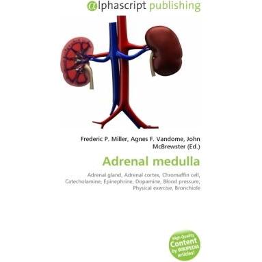 Thumbnail - Adrenal medulla, Fachbücher von Agnes F. Vandome, Frederic P. Miller, John McBrewster