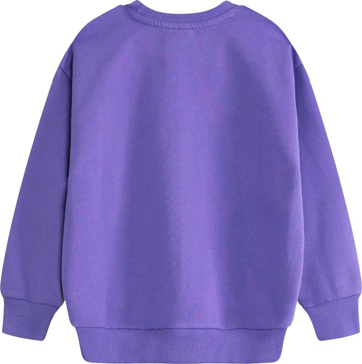 Produktbild Room On The Broom Sweatshirt (110)