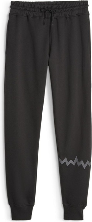 Actual product image Puma Hoops Team Sweat Pant (L)