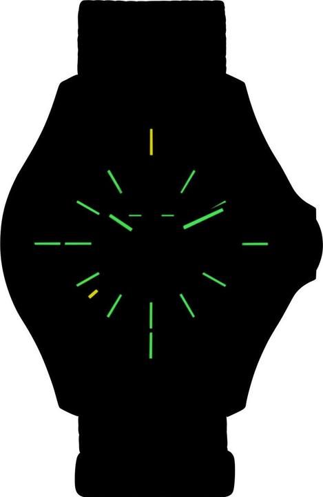 Produktbild Traser 100757 P67 Officer Automatik Herrenuhr 45mm 10ATM (Analoguhr, 45 mm)