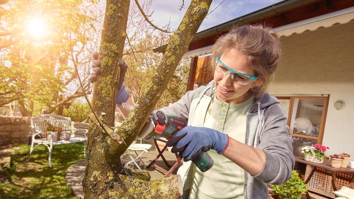 Actual product image Bosch Home & Garden EasyCut 12 (Battery chain saw)
