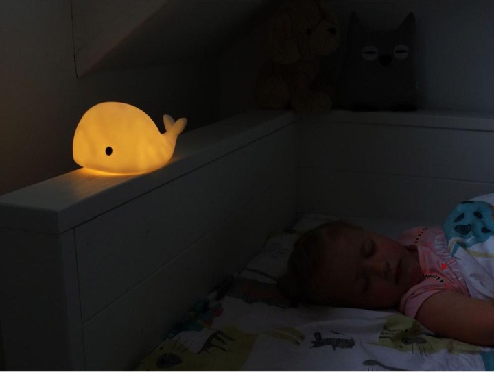 Actual product image Flow Amsterdam LED Moby