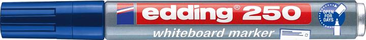 Actual product image Edding 250 (1x)