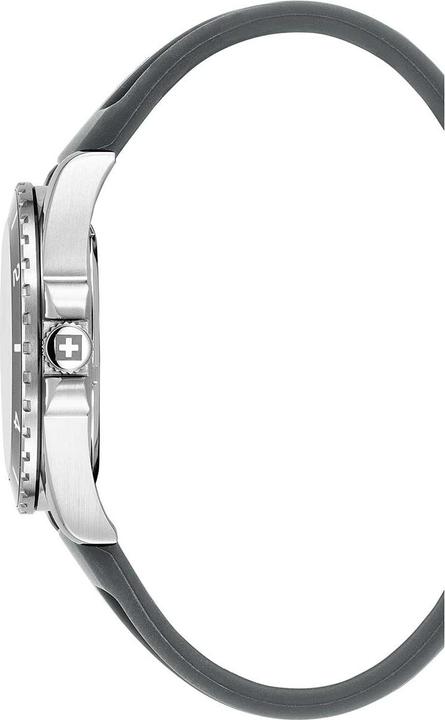 Actual product image Swiss Alpine Military 7034.1832 Sierra (Swiss made)