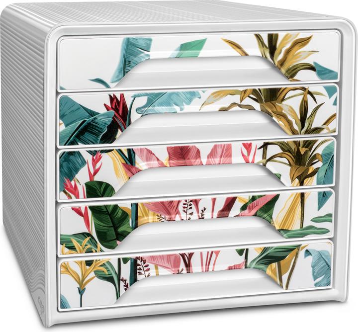 Blanc, Tropicaux . Motif