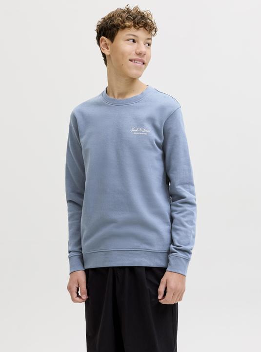 Produktbild Jack & Jones Jjearchive Graphic Sweat Cn Sn Jnr (152)