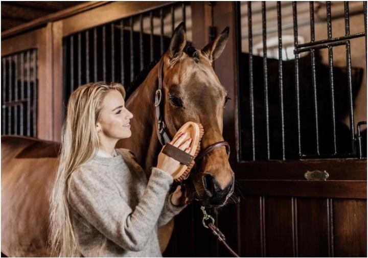 Actual product image Grooming Deluxe Card brush soft Overall Brush Soft