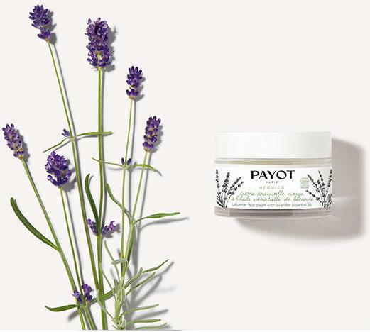 Actual product image Payot Paris Herbier Crème Universelle Visage (50 ml, Day cream)
