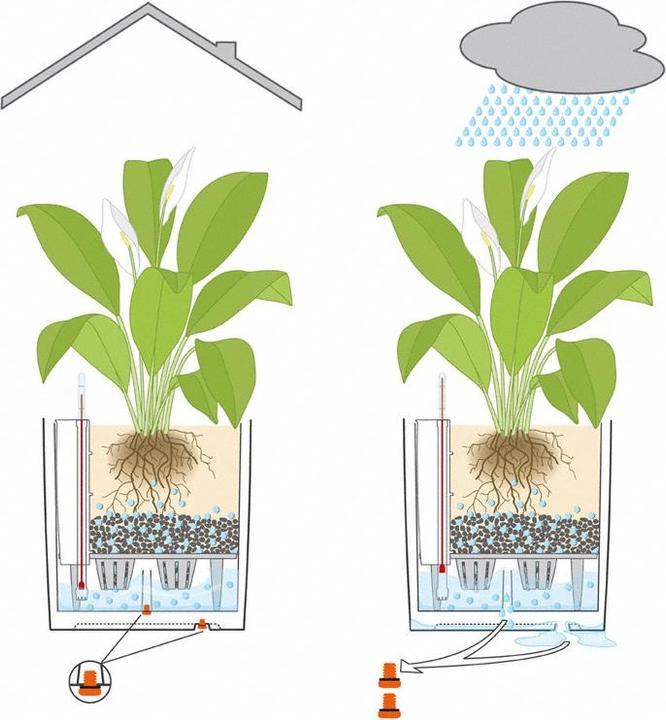 Actual product image Lechuza Cube 50 (49 x 49 x 49.50 cm)