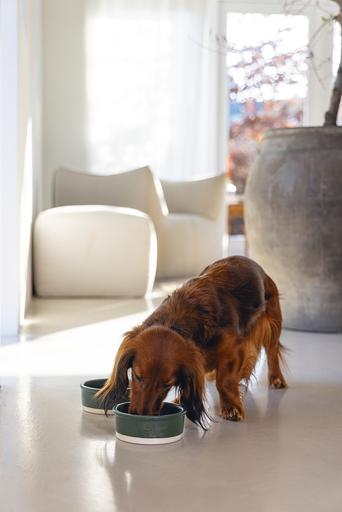 Productafbeelding Designed by Lotte Joa