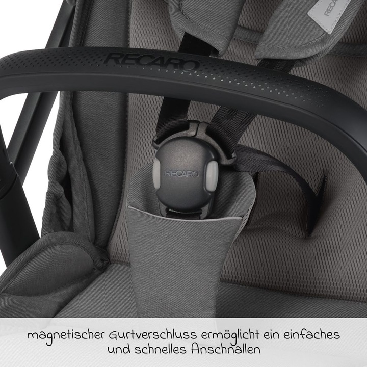 Actual product image RECARO Lexa Elite