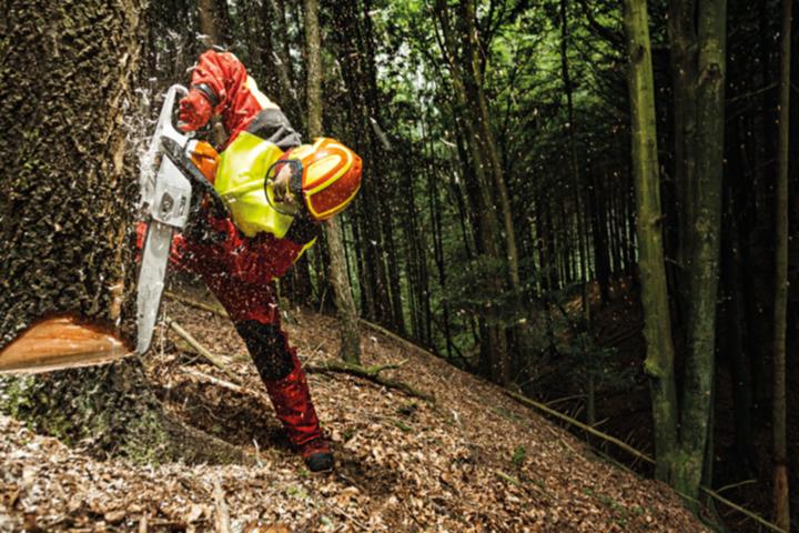 Actual product image Protos fine visor F39 (Hearing protection replacement pads)