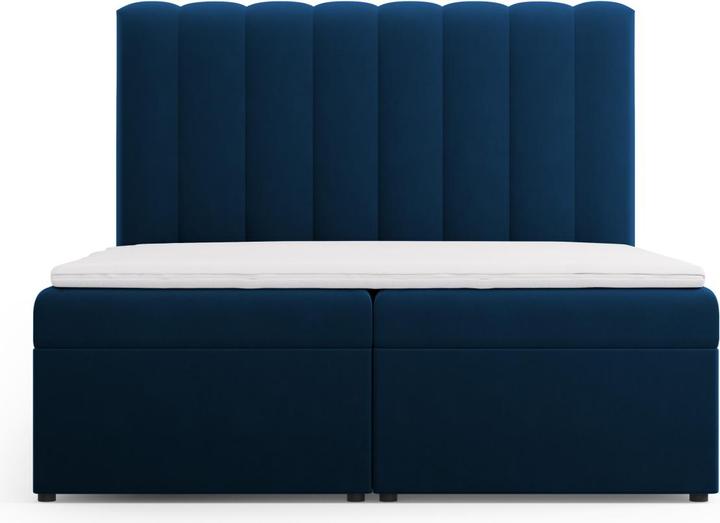 Actual product image Micadoni Kelp (160 x 200 cm)