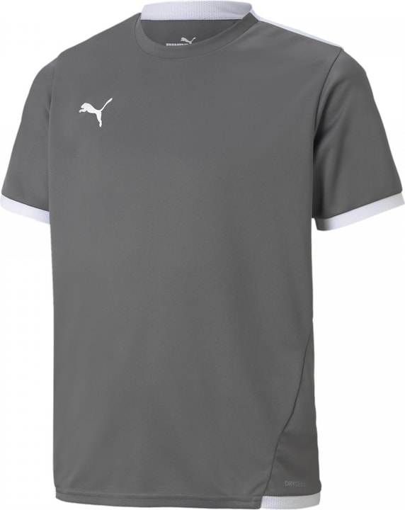 Image du produit Puma Maillot teamLIGA Jr-704925 (128)