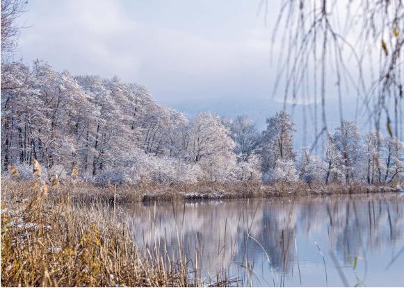 Art Bula Postkarte 10,5x14,8cm Winterstimmung am See