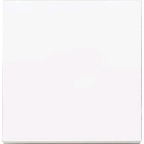 Actual product image Panasonic WDTR00011WHEU1 Plus 55 rocker white