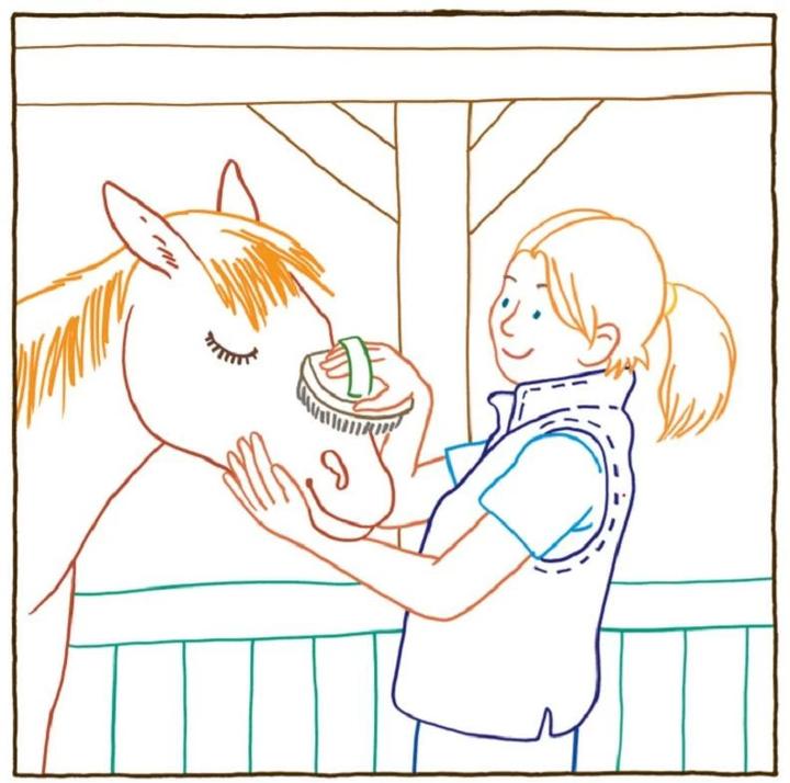 Produktbild Zauberpapier Malbuch Pferde