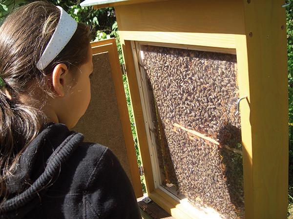 Produktbild Mit Kindern im Bienengarten (Deutsch, Irmgard Kutsch, 2015)