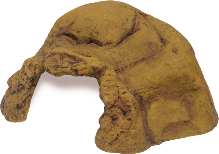 Image du produit Exo Terra Reptile Cave Cave XX-Large, 34x31x15 cm (1 pc)