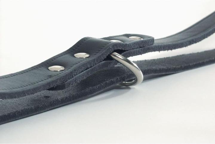 Actual product image Beeztees Dog leash (Dog)