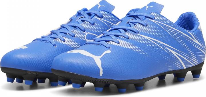 Produktbild Puma Attacanto Fg/Ag (43)