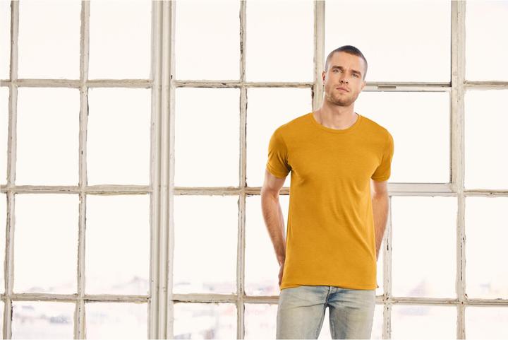 Produktbild Bella Canvas Triblend Tee (L)