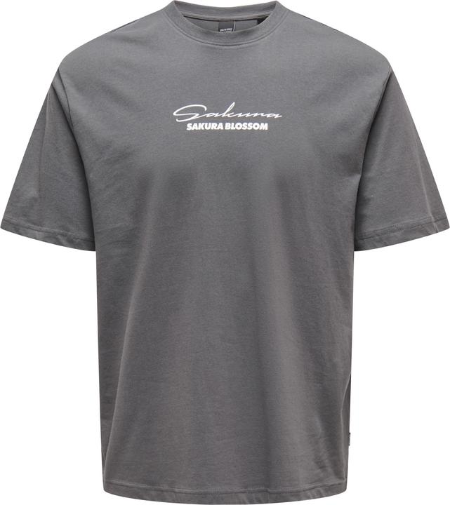 Only & Sons Onskeane Rlx Ss Print Tee Noos (S)