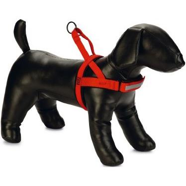 Beeztees Bz Prem Geschr Parinca Rot 45- (42, 43, 44, 45, 46, 47, 48, 49, 50, 52, Hund, Allgemein), Halsband + Leine