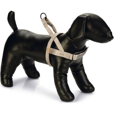 Beeztees BZ PREM GESCH PARINCA HGR 82-1 (85, 90, 95, 100, 104, 105, Hund, Allgemein), Halsband + Leine