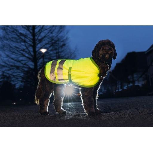 Thumbnail - Beeztees Bz Sg Hundemantel Teddie Refle (Hundemantel), Hundebekleidung