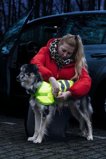 Image du produit Beeztees Bz Sg Manteau Pour Chien Teddie Reflets (XXL, Manteau pour chien)