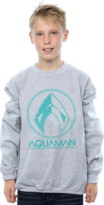 Immagine prodotto Felpa Aquaman Aqua Logo Garçons (152, 158)