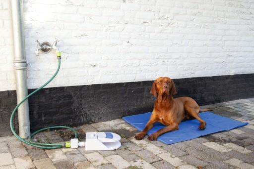 Image du produit Beeztees Quick (Chien)