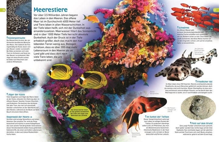 Produktbild memo Wissen entdecken. Tiere (Deutsch, Tom Jackson, 2020)