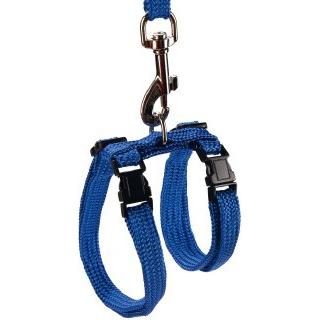Thumbnail - Beeztees Bz Nylon Katzenleine Blau 130 (Katze, Allgemein), Halsband + Leine