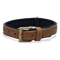 Beeztees Bz Balacron Halsband Ax Brn 31 (31, 32, 33, 34, 35, 36, 37, 38, 39, Hund, Hundesport), Halsband + Leine