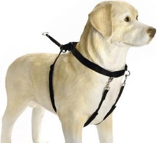 Actual product image Beeztees Bz Gentle Walker Black X-La (XL, Dog, General)