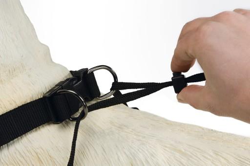 Actual product image Beeztees Bz Gentle Walker Black X-La (XL, Dog, General)