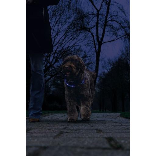 Thumbnail - Beeztees Bz Sg Sil Halsb+Usb Dogini Bl (Hund, Allgemein), Halsband + Leine