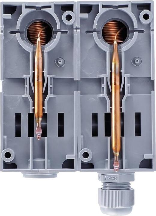 Actual product image Jumo 60003232