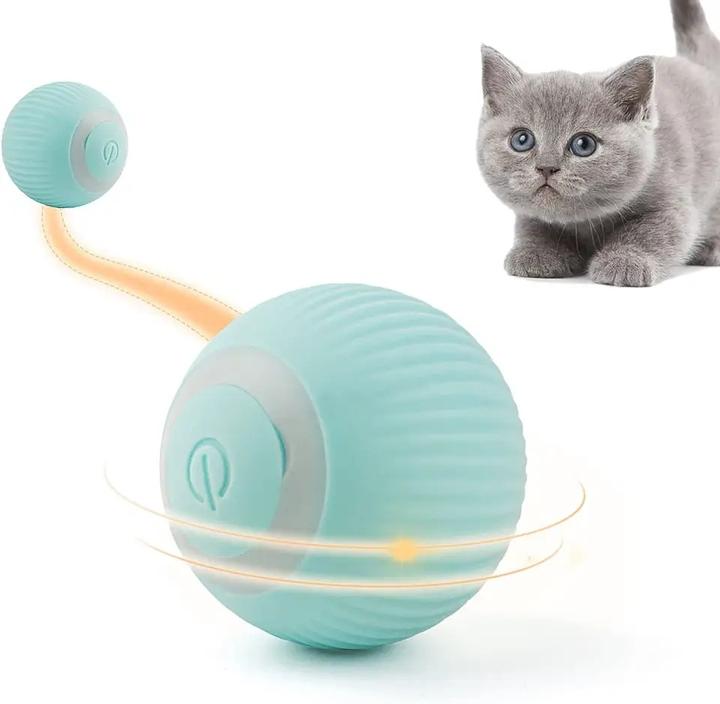 Esmée Rollender Spielball 2er Set USB Katzen Spielzeug