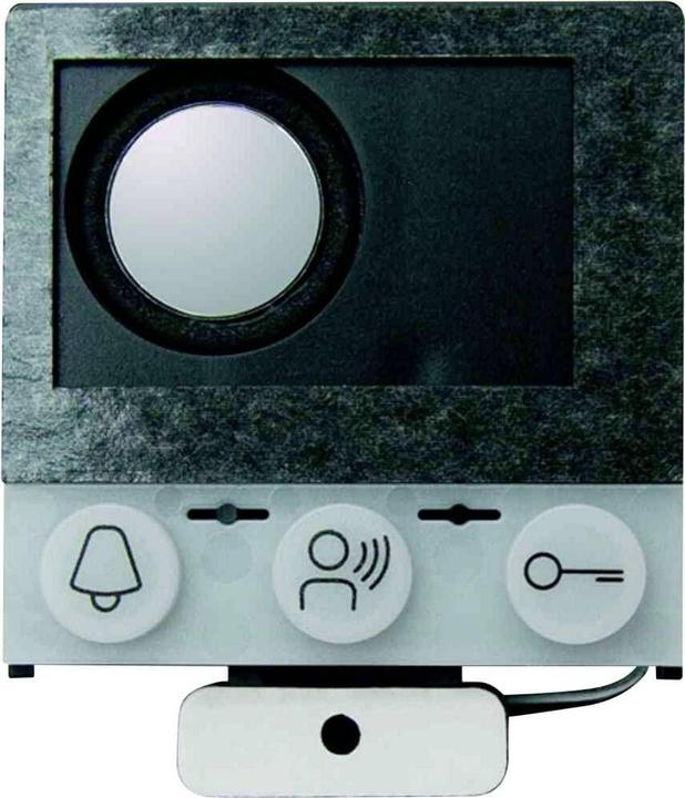 Actual product image TCS Built-in door loudspeaker