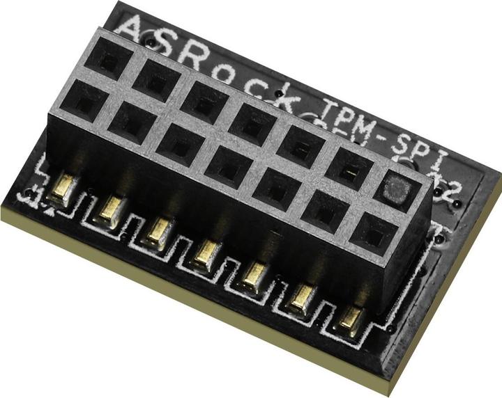 AsRock TPM-SPI Module
