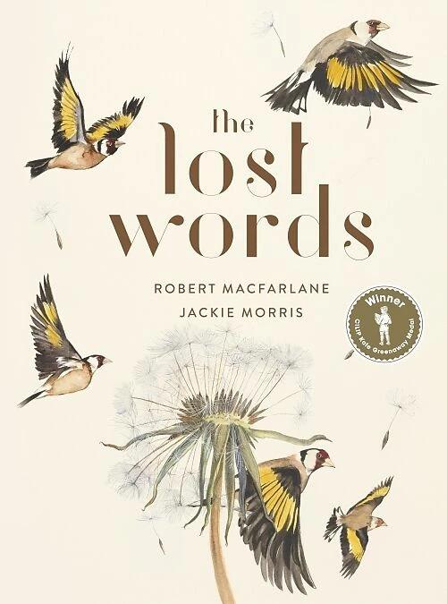 Produktbild The Lost Words (Englisch, Jackie Morris, Robert Macfarlane, 2017)
